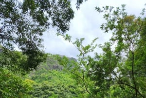 Black River: Guidet vandretur i Black River Gorges-dalen