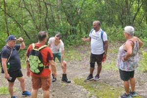 Black River: Guidet vandretur i Black River Gorges-dalen