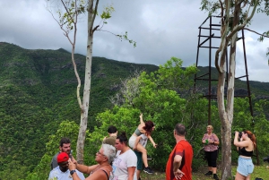 Black River: Guidet vandretur i Black River Gorges-dalen