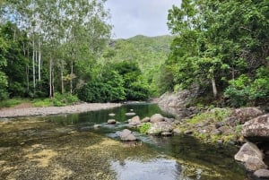 Black River: Guidet vandretur i Black River Gorges-dalen