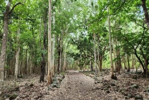 ブラック リバー：ブラック リバー渓谷のガイド付きハイキング