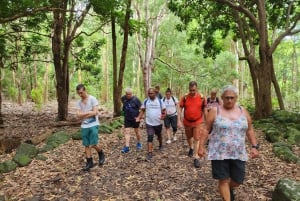 ブラック リバー：ブラック リバー渓谷のガイド付きハイキング