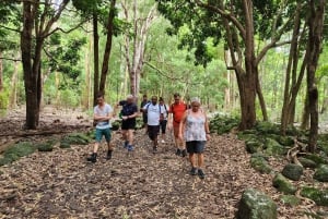 ブラック リバー：ブラック リバー渓谷のガイド付きハイキング