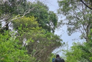 ブラック リバー：ブラック リバー渓谷のガイド付きハイキング