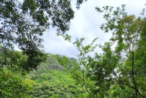 ブラック リバー：ブラック リバー渓谷のガイド付きハイキング