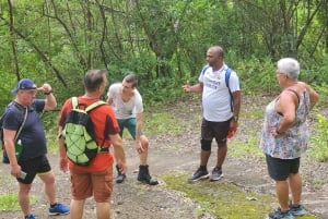 ブラック リバー：ブラック リバー渓谷のガイド付きハイキング