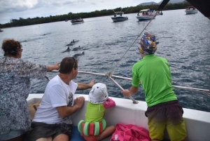 Black River: Swim with Dolphin Speed Boat Tour with lunch