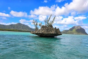 Black River: Swim with Dolphin Speed Boat Tour with lunch