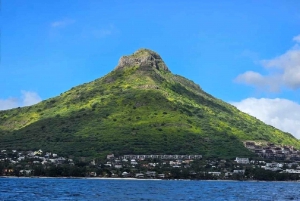 Black River: Swim with Dolphin Speed Boat Tour with lunch