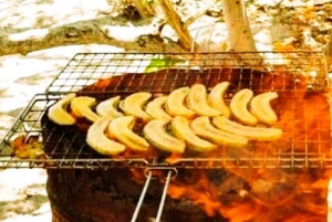 Black River: Swim with Dolphin Speed Boat Tour with lunch