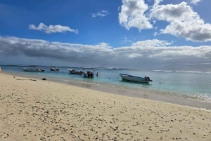 Black River: Swim with Dolphin Speed Boat Tour with lunch