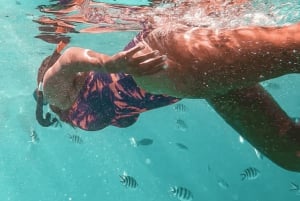 Blue Bay: Wizyta łodzią ze szklanym dnem i nurkowanie z rurką w Blue Bay