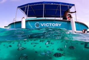 Blue Bay: Wizyta łodzią ze szklanym dnem i nurkowanie z rurką w Blue Bay