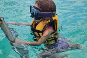 Blue Bay: Wizyta łodzią ze szklanym dnem i nurkowanie z rurką w Blue Bay