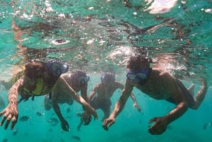 Blue Bay: Wizyta łodzią ze szklanym dnem i nurkowanie z rurką w Blue Bay