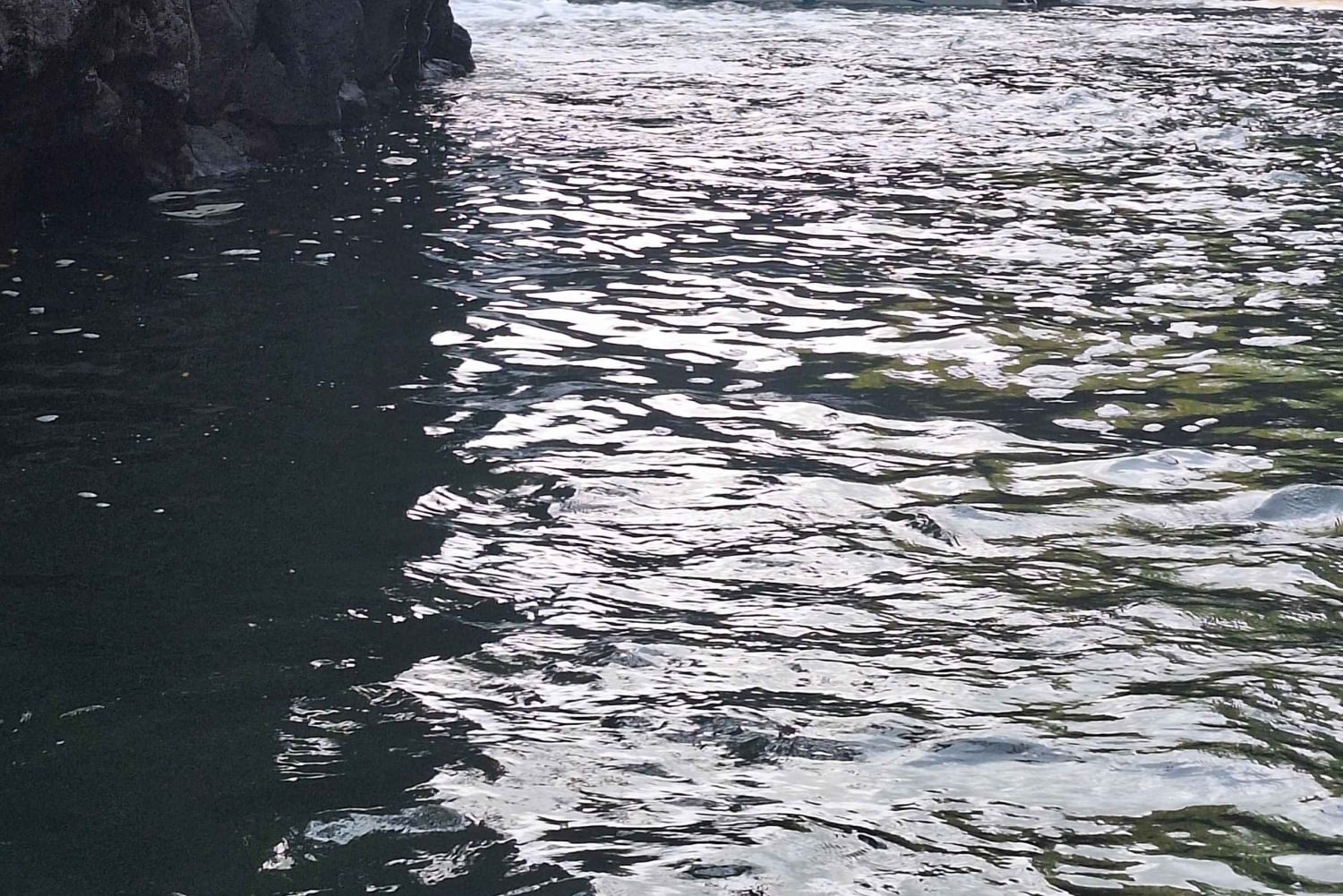 Blaue Bucht: Bootsfahrt zur ile au cerf (5 Inseln, Barbecue)