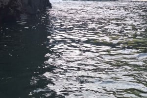 Blaue Bucht: Bootsfahrt zur ile au cerf (5 Inseln, Barbecue)