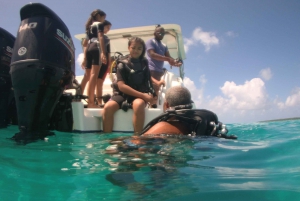 Blue Bay: LEARN TO DIVE TODAY with CORAL DIVING Team