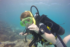 Blue Bay: LEARN TO DIVE TODAY with CORAL DIVING Team