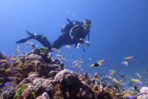 Blue Bay: LEARN TO DIVE TODAY with CORAL DIVING Team