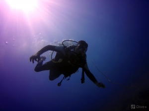 Blue Bay Divers Diving Centre