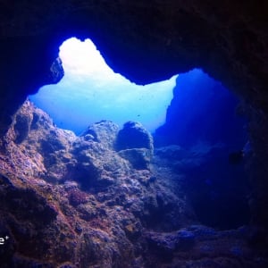 Blue Bay Divers Diving Centre