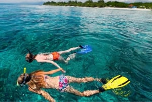 Blue Bay Group Snorkeling Trip with Creole Picnic