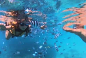 Blue Bay Group Snorkeling Trip with Creole Picnic