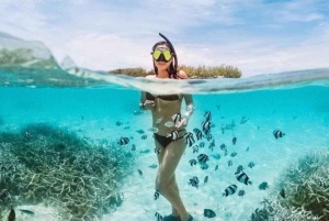 Blue Bay Group Snorkeling Trip with Creole Picnic