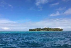 Blue Bay: Half-Day Snorkeling Trip with Creole Picnic Lunch