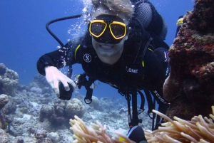 Blue Bay: LEARN TO DIVE TODAY with CORAL DIVING Team