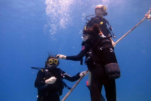 Blue Bay: LEARN TO DIVE TODAY with CORAL DIVING Team