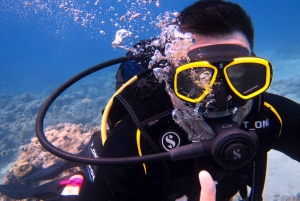 Blue Bay: LEARN TO DIVE TODAY with CORAL DIVING Team