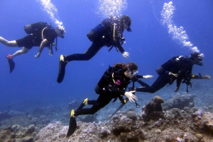 Blue Bay: LEARN TO DIVE TODAY with CORAL DIVING Team