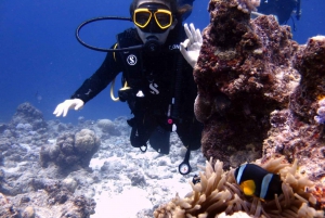 Blue Bay: LEARN TO DIVE TODAY with CORAL DIVING Team