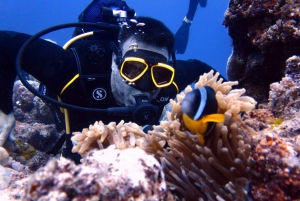 Blue Bay: LEARN TO DIVE TODAY with CORAL DIVING Team