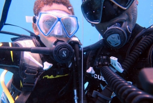 Blue Bay: LEARN TO DIVE TODAY with CORAL DIVING Team