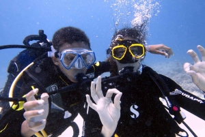 Blue Bay: LEARN TO DIVE TODAY with CORAL DIVING Team