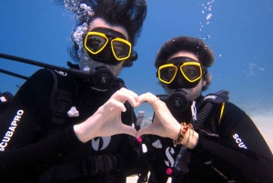 Blue Bay: LEARN TO DIVE TODAY with CORAL DIVING Team