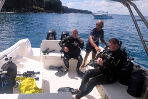 Blue Bay: LEARN TO DIVE TODAY with CORAL DIVING Team