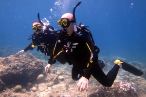 Blue Bay: LEARN TO DIVE TODAY with CORAL DIVING Team