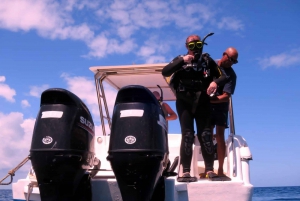 Blue Bay: LEARN TO DIVE TODAY with CORAL DIVING Team