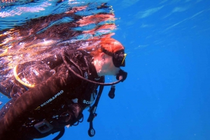 Blue Bay: LEARN TO DIVE TODAY with CORAL DIVING Team