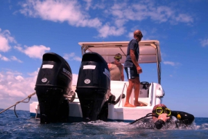 Blue Bay: LEARN TO DIVE TODAY with CORAL DIVING Team