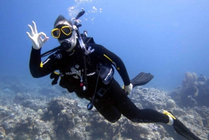 Blue Bay: LEARN TO DIVE TODAY with CORAL DIVING Team