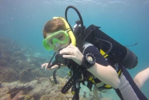 Blue Bay: Naucz się nurkować już dziś z CORAL DIVING Team