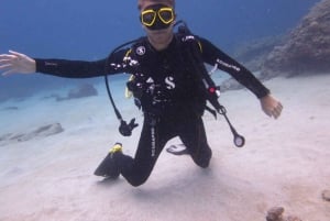 Blue Bay: Naucz się nurkować już dziś z CORAL DIVING Team