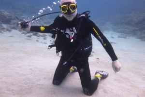 Blue Bay: Naucz się nurkować już dziś z CORAL DIVING Team