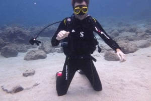 Blue Bay: Naucz się nurkować już dziś z CORAL DIVING Team