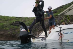 Blue Bay: Naucz się nurkować już dziś z CORAL DIVING Team